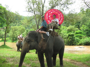 Wow, what a fun ride near Chiang Mai, Thailand!